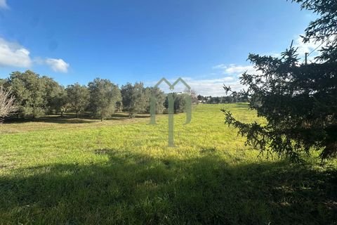 Masia a Ostuni, Brindisi, Ostuni - € 75.000 | Ref: Casolare Vert - foto 6